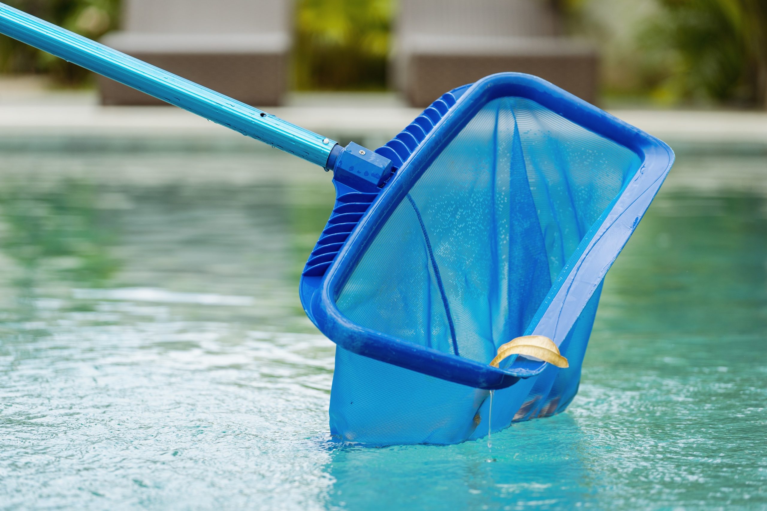 Pool skimmer on the pool's surface