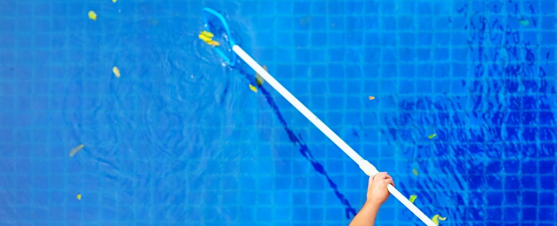 Young adult man, personnel cleaning the pool from leaves